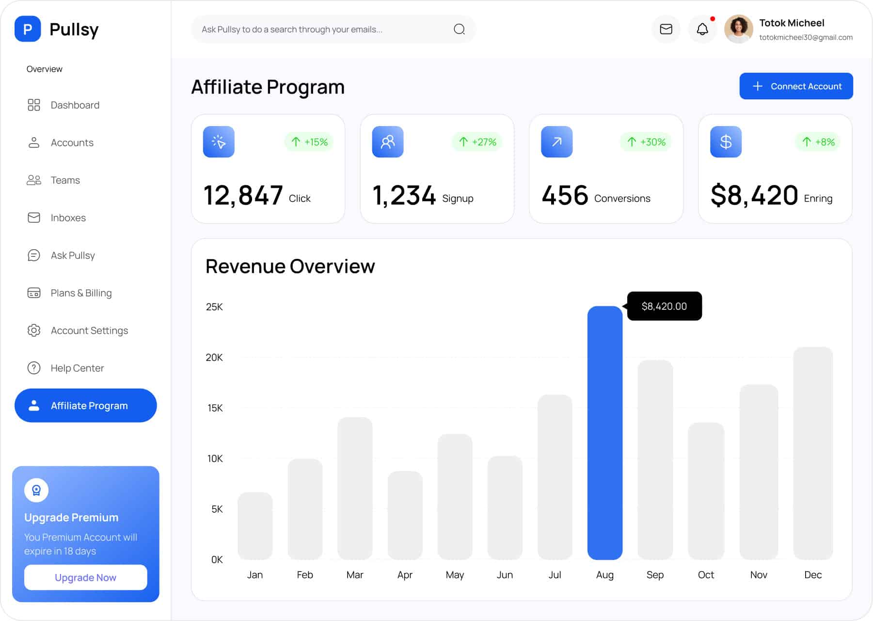 Successful Affiliate Program dashboard showing revenue, clicks, signups, and conversions on Pullsy platform.